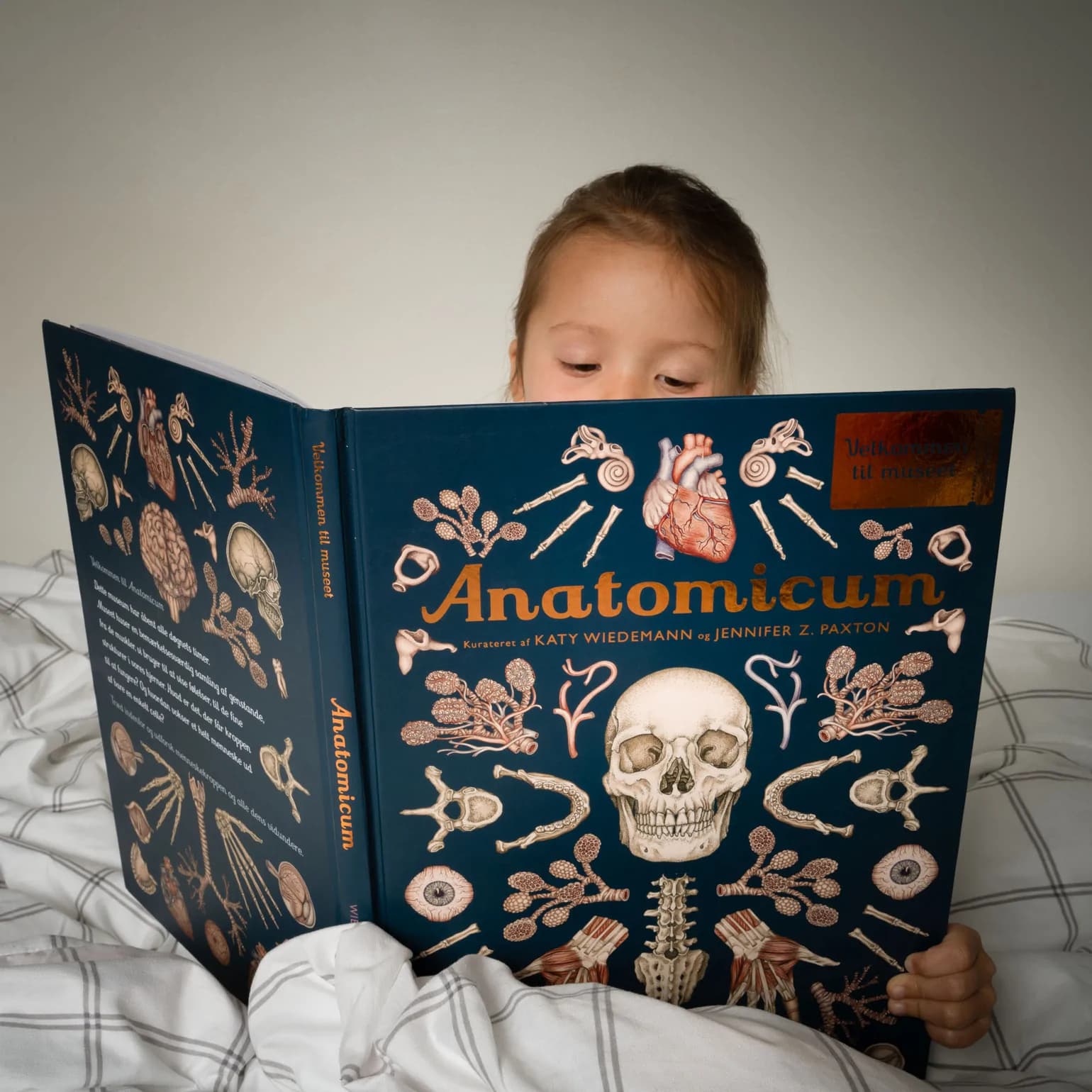 Forlaget Mammut / Anatomicum