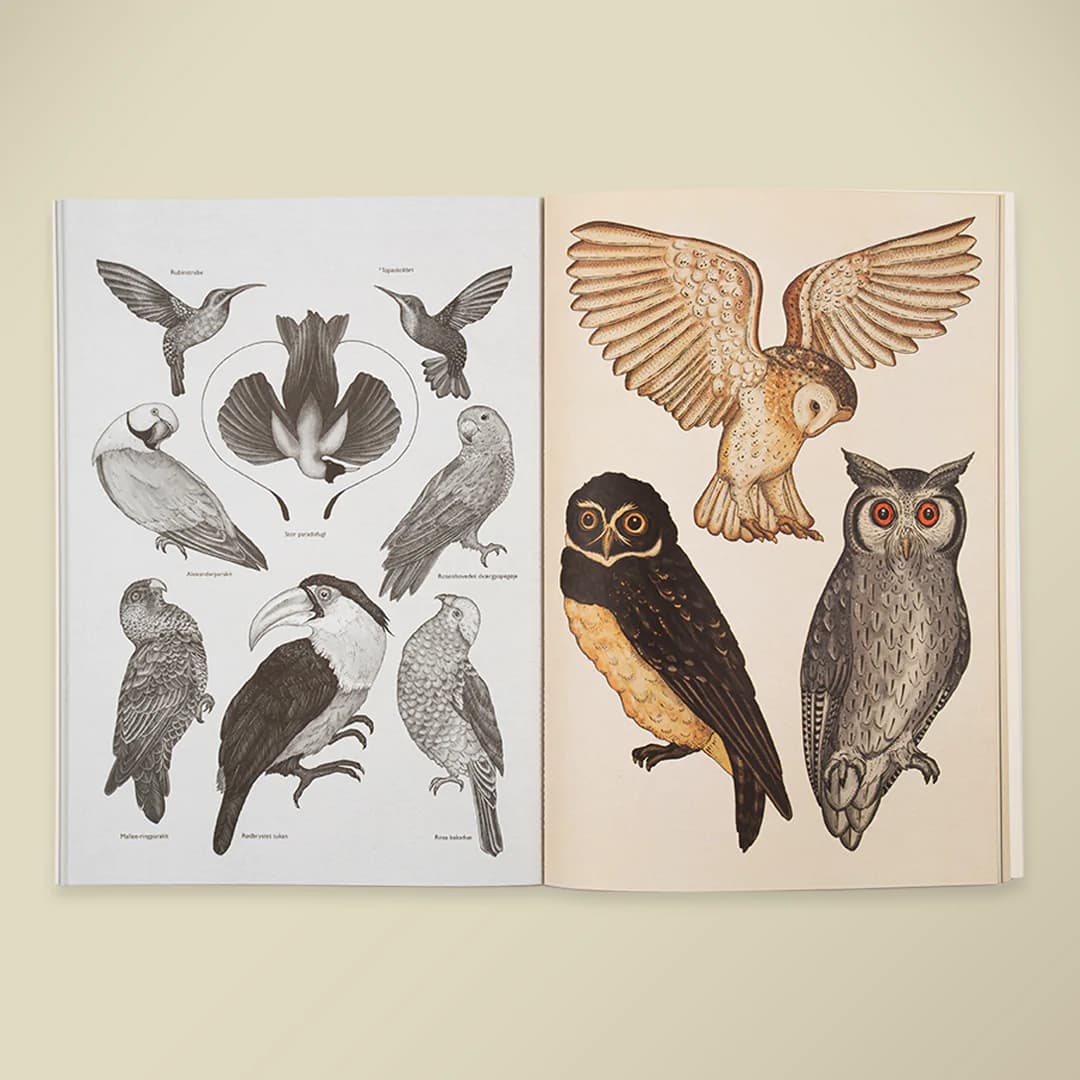 Forlaget Mammut / Animalium Plakatbog — billede 3
