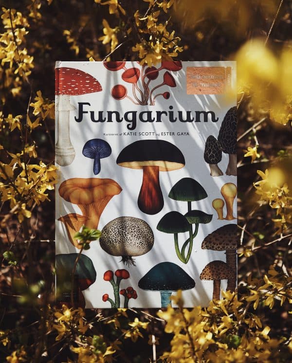 Forlaget Mammut / Fungarium