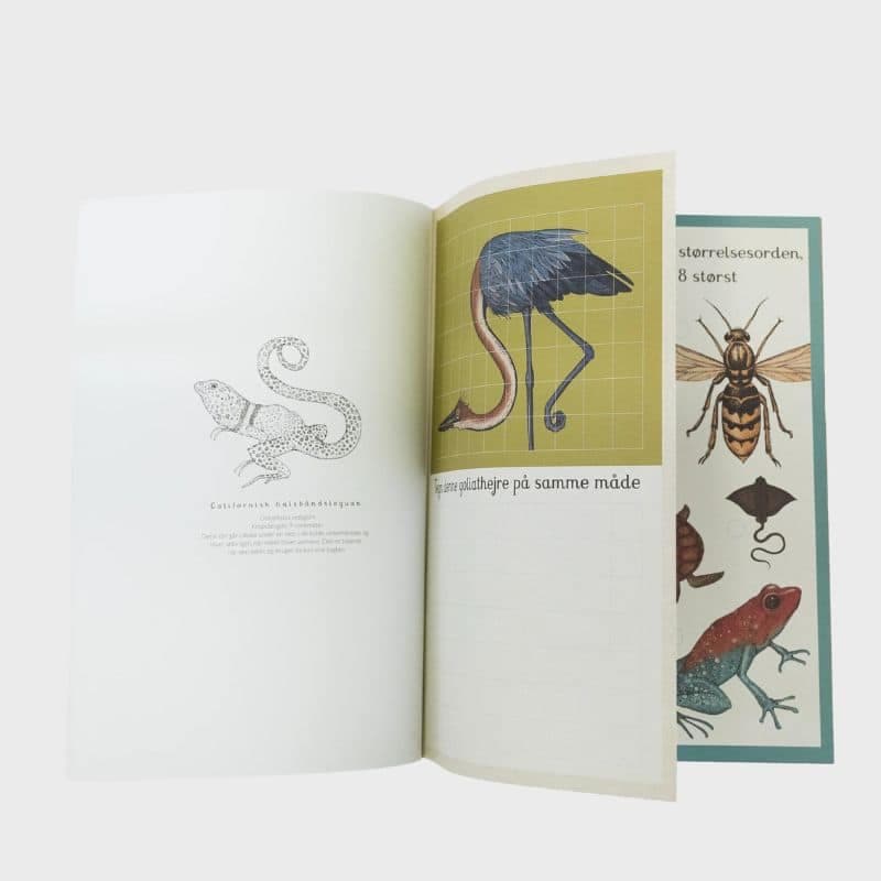 Forlaget Mammut / Animalium Aktivitetsbog — billede 2