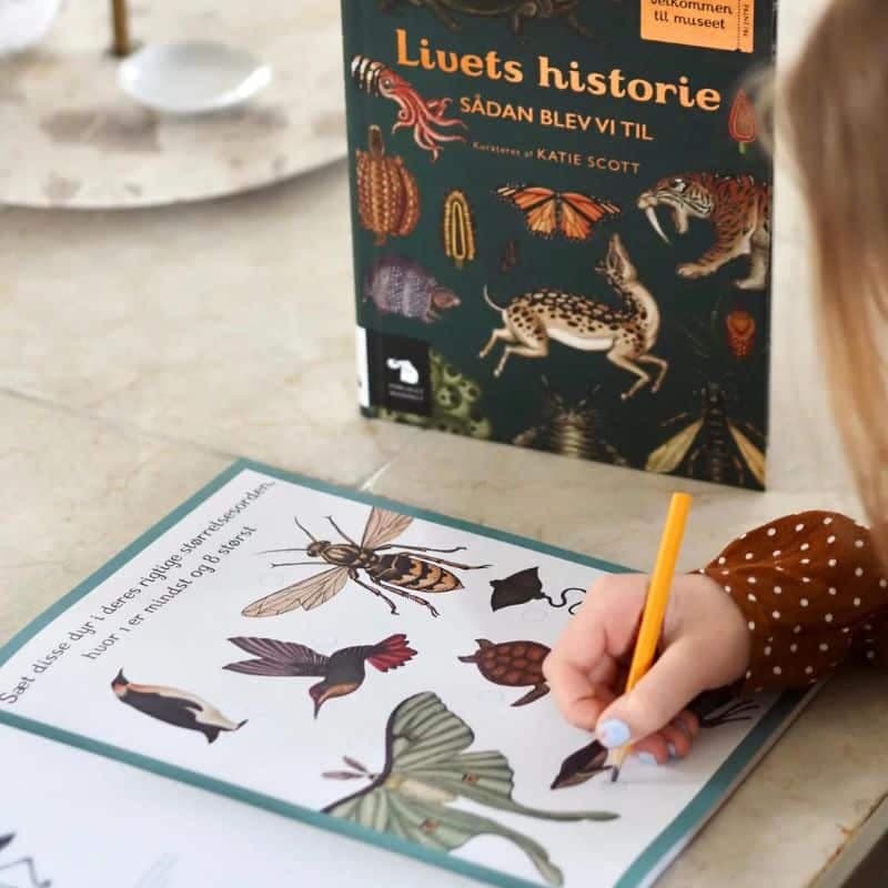 Forlaget Mammut / Animalium Aktivitetsbog — billede 3